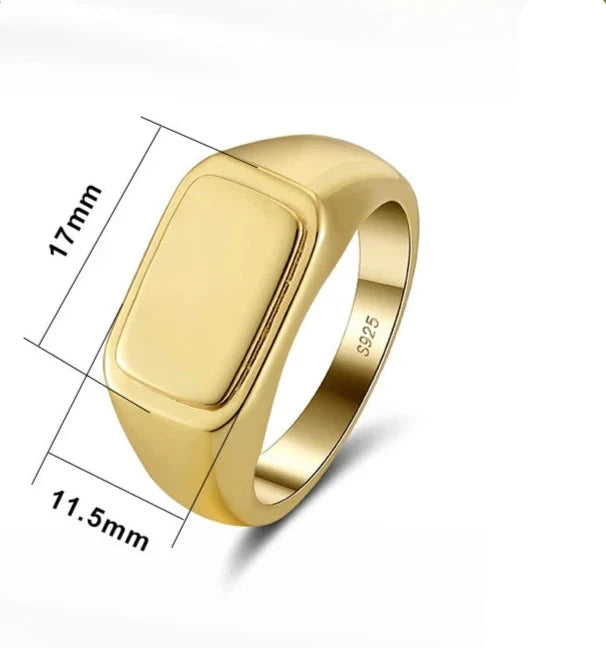 ANEL MASCULINO HILMON EM PRATA ESTERLINA COM BANHO DE OURO 18K